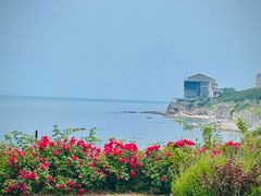 -养马岛旅游度假区
