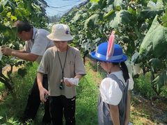 -马陆小张葡萄园农家乐