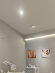 -洗脸猫·洗脸吧