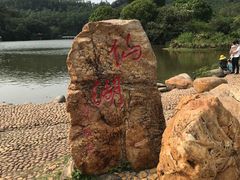 -深圳仙湖植物园
