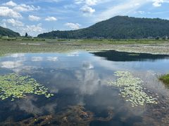 -腾冲北海湿地