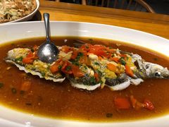 翘嘴鲌鱼-丹江渔村(望京店)