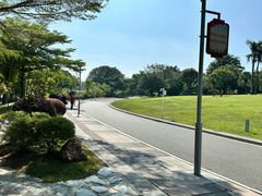 -东莞植物园