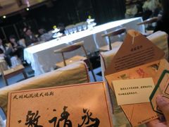 -合肥大剧院