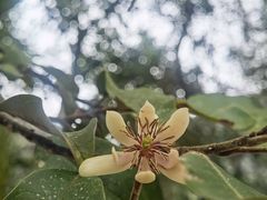 -韶关经律论国际酒店温泉