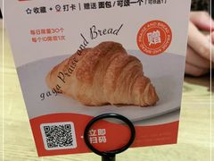 -gaga(金光华店)