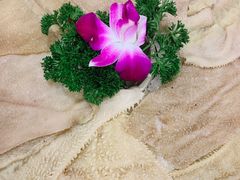 -蜀辣居鲜货老火锅(红牌楼店)