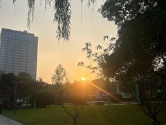 -宁波美术馆