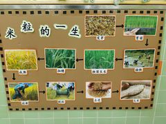 -协和实验幼儿园