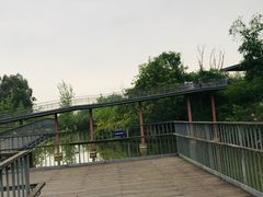 -白鹭湾湿地公园