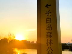 -长白岛森林公园