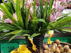 -吉美超市(胜利路店)