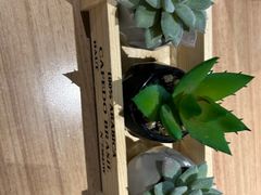 -必胜客(免税商场店)