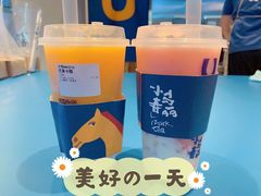 -春丽小马(济南恒隆广场店)