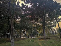 -月湖风景区