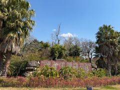 -洱海月湿地公园