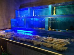 水产区-鲜小岛·铜锅涮肉