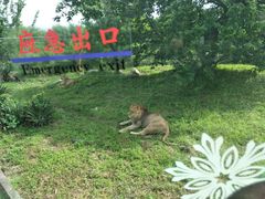 -西安秦岭野生动物园