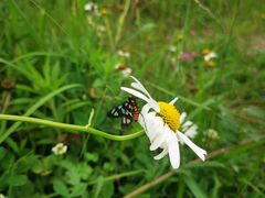 -云漫湖生态度假公园