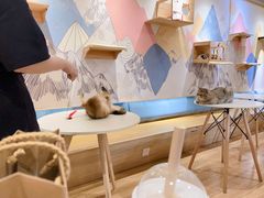 -滚猫咖啡·猫咖·猫友好撸猫(未来城店)