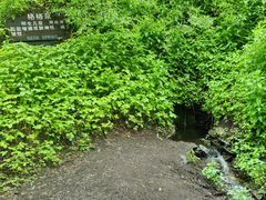 -峡谷浮石林景区