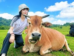 -大姆山草场