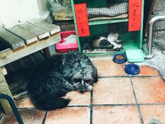 -老宅原住民沙茶面精品小吃(龙头路店)