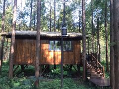 -黄海国家森林公园