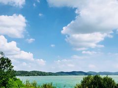 -上海市保健医疗中心(华东疗养院)