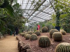 -呀路古热带植物园