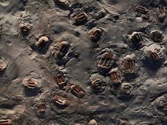 -湖南省地质博物馆