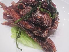 -筱爷叔·上海传统手工菜(新桥店)
