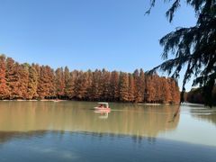 -上海海湾国家森林公园