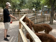 -水上乐园·欢乐世界