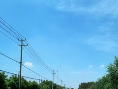 -同济大学(嘉定校区)