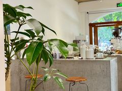 -素咫咖啡CLIFEROSE(新安店)