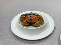 清蒸大阐蟹-新光酒家·河豚·海鲜·蟹料理(浦东店)
