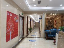 -碧莲盛·不剃发植发