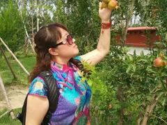 -武清南湖绿博园