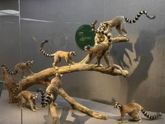 -武汉园博园(武汉自然博物馆)
