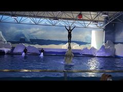 -秦皇岛乐岛海洋王国