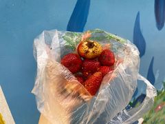 -雪儿钱局泡菜