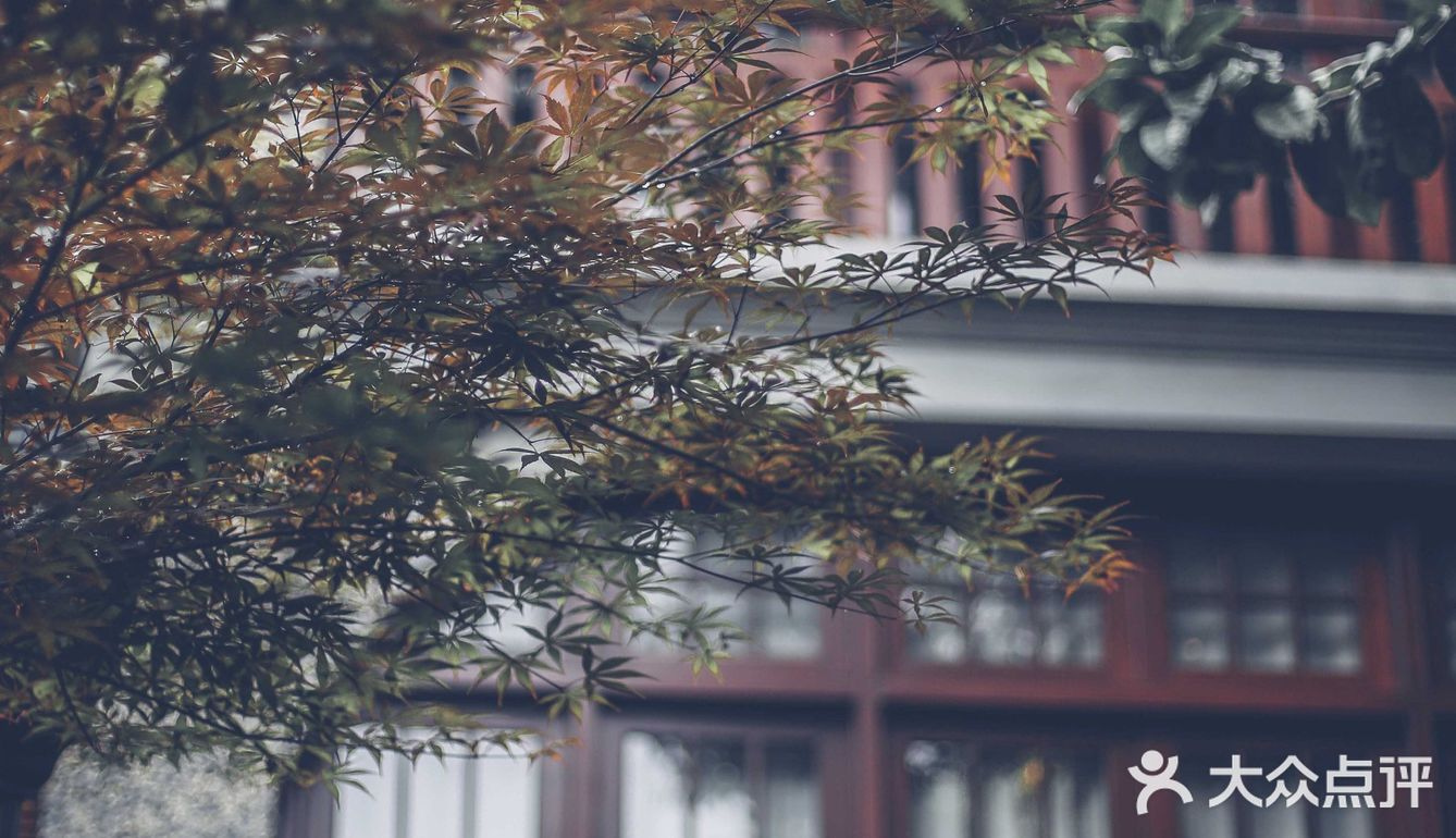 如果你到上海，一定要来思南路看看