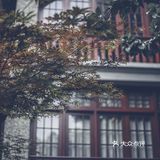 如果你到上海，一定要来思南路看看