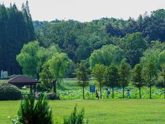 -宜兴龙背山森林公园