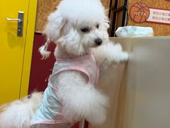 -和它·交个朋友·狗咖猫咖(爱琴海店)