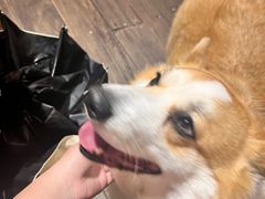 -肥朵食堂(带梦胡同店)