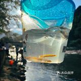 周末出逃计划之🏕️露营｜遛娃｜玩水｜