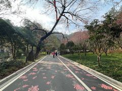 -北高峰
