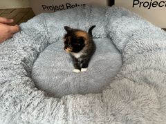 -UNIUNI(凯瑟琳广场店)